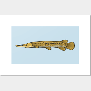 Alligator garfish cartoon illustration Posters and Art